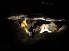 Thumbnail of photo from this article